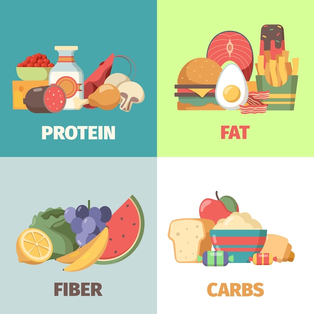 Food nutrition Proteins fats carbohydrates fiber health products for natural diet nutrition group garish vector cartoon illustrations