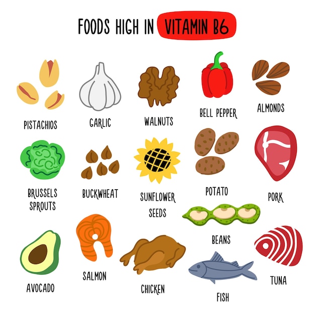 Foods High in vitamin B6 Vector illustration with healthy foods rich in vitamin B6