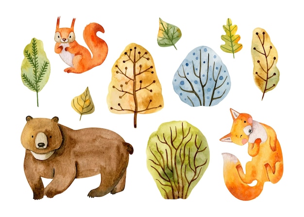 forest animal collection