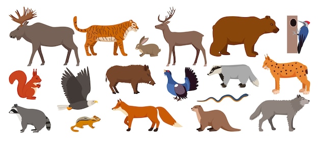 Forest animals isolated on white set of illustration