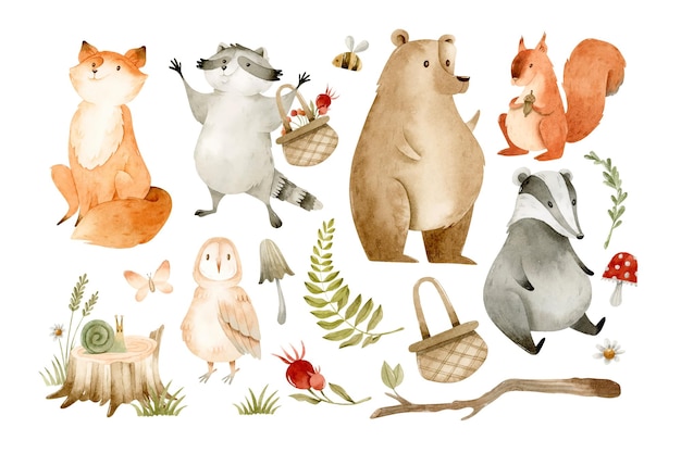 Forest animals and watercolor nature elements isolated clipart set