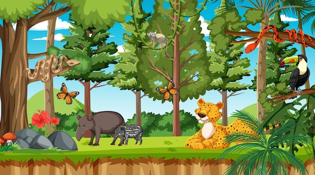 Forest at daytime scene with different wild animals