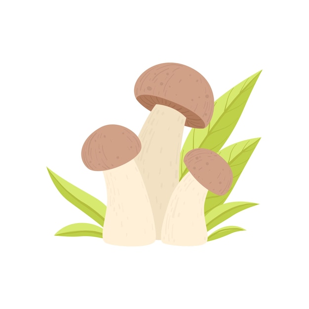 Vector forest edible mushroom growing grass wild organic product vector illustration on white background