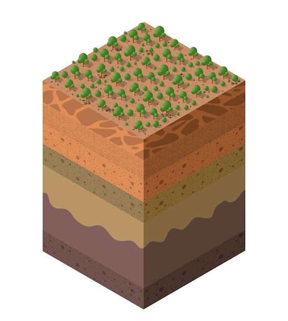 Forest farm soil layers geological and underground