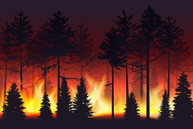 Forest fire realistic silhouette landscape