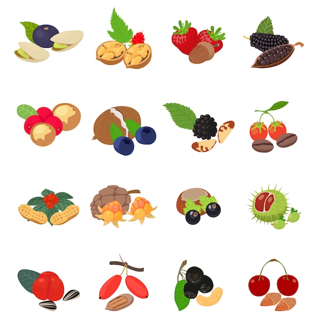 Forest food icon set