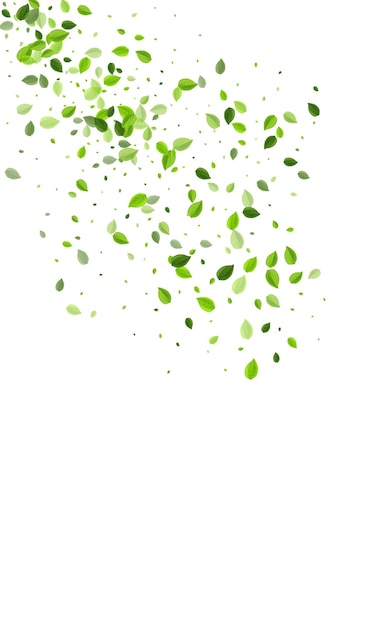 Forest Greens Fresh Vector White Background. Wind Leaf Wallpaper. Green Leaves Blur Border. Foliage Spring Template.