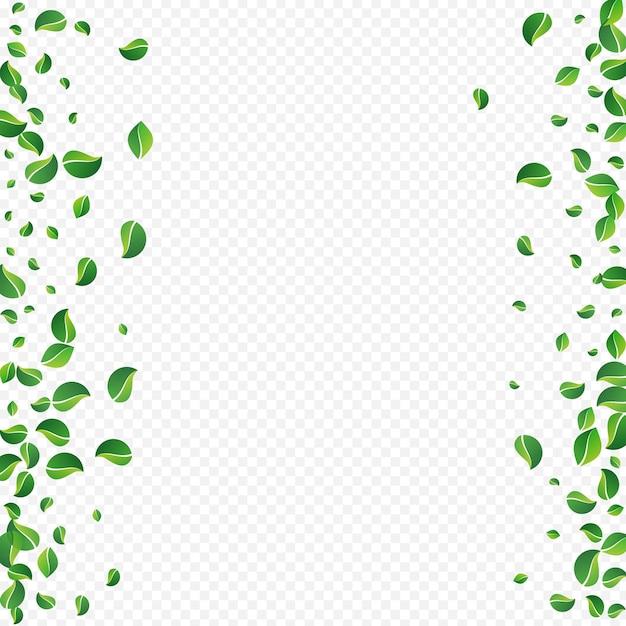 Forest Greens Organic Vector Transparent