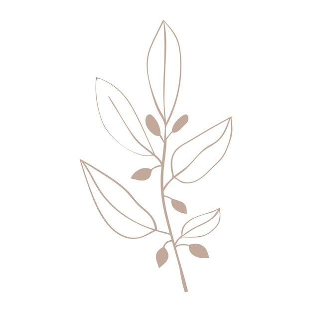 Forest herbs simple linear icon Plants are drawn with a line