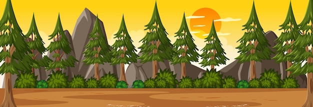 Forest horizontal scene at sunset time with many pine tree background