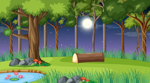 Forest landscape scene at night with many different trees