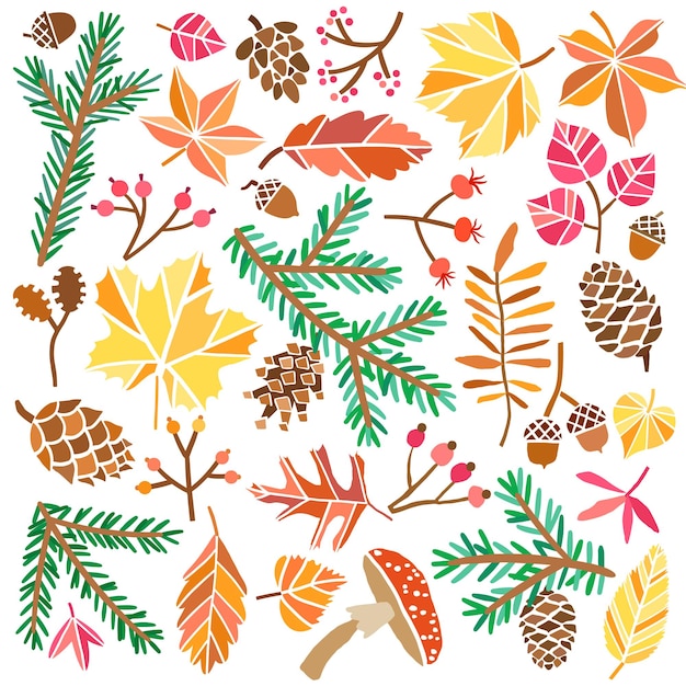 Forest leaves and foliage collection