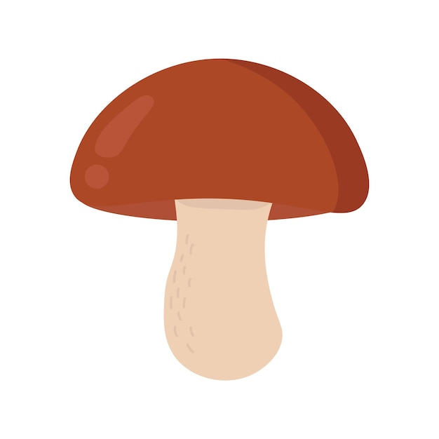 Forest mushroom in cartoon style isolated on white background Vector illustration