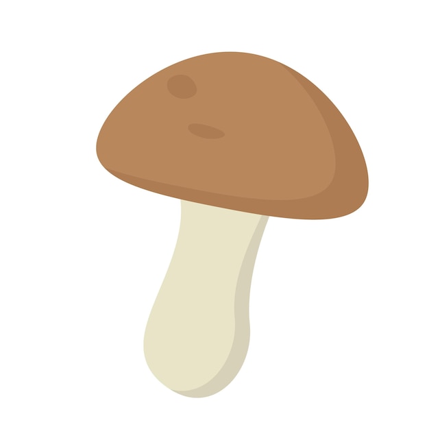 Forest mushroom isolated