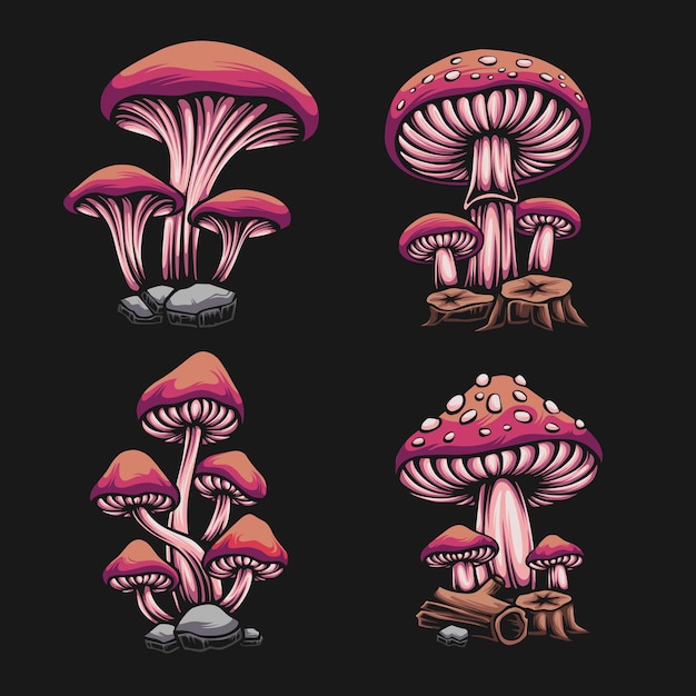 Forest mushroom set illustration