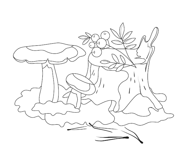 Forest mushrooms and mountain ash on the stump coloring book