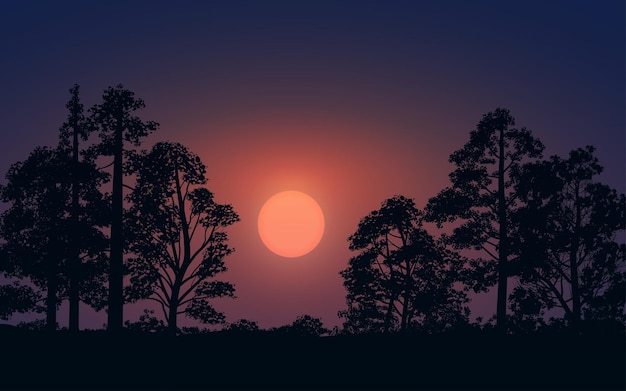 Forest at night in silhouette with moonlight Blood moon in forest