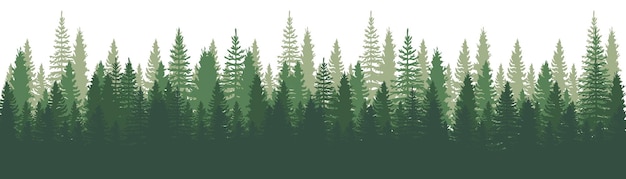 Forest Panorama view. Pines. Spruce nature landscape. Forest background. Set of Pine, Spruce and Christmas Tree on White background. Silhouette forest background. Vector illustration