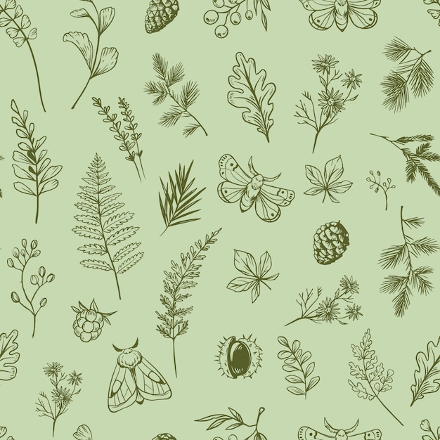 Forest plants and herbs moths spruce branches Seamless pattern design Doodle vector illustration