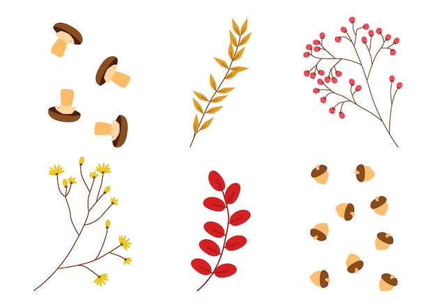 Forest plants illustration