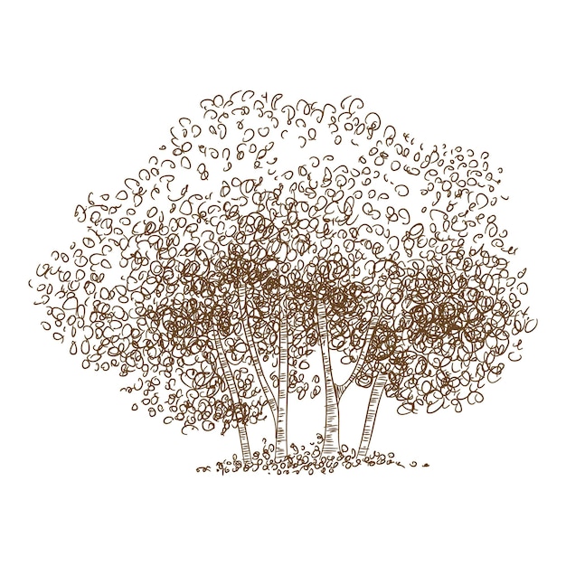 Forest tree group icon. Hand drawn and outline illustration of forest tree group vector icon for web design