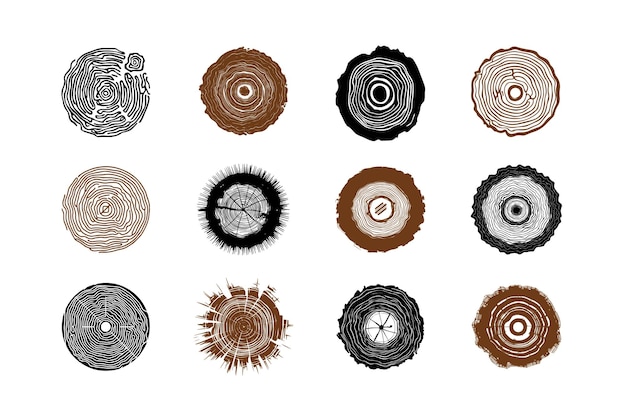 Forest tree rings natural sawn and trunk cross section Wooden circle rings stencil vector set