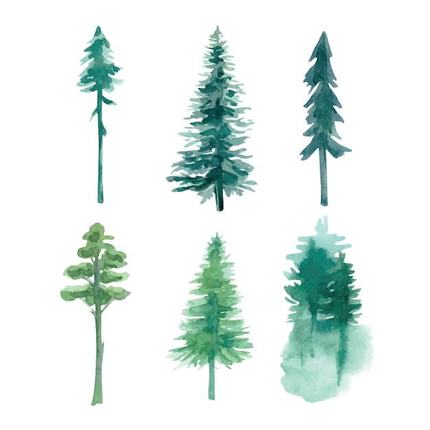 Forest trees watercolor set Green handdrawn tree Vector illustration