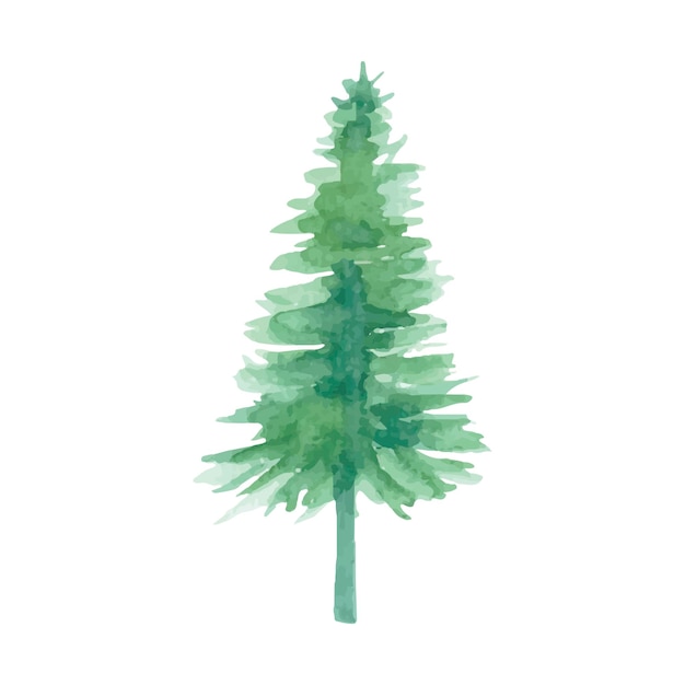 Forest trees watercolor spruce Green handdrawn tree Vector illustration