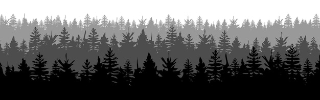 Forest Vector illustration of a silhouette panorama of a coniferous forest