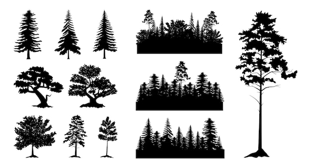 Forest wood black silhouettes different trees Pine or fir canopy woodcut sketch leaf and branch landscape scene Spruce and coniferous natural woodland Vector outline garish illustration