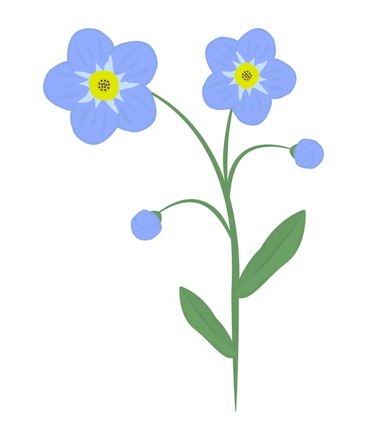 Forgetmenot flowers and leaves colorful illustration