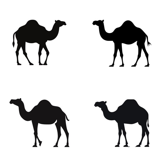 four camels are shown with the words camels on them