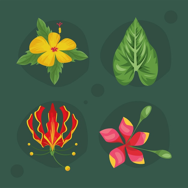 Four exotic tropical plants