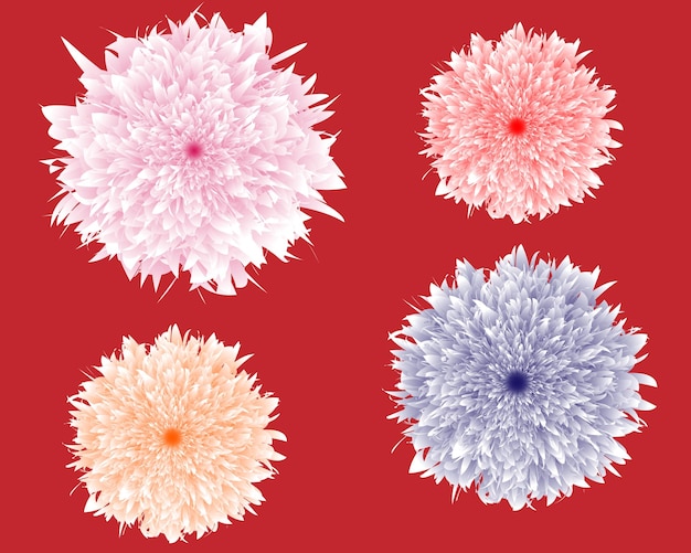 Vector four flowers are shown on a red background