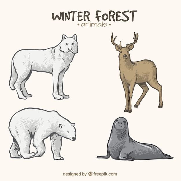 Vector four hand drawn winter animals 