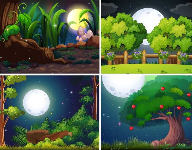 Vector four night scenes of the forest and park