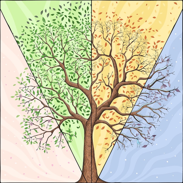 Four Seasons Trees Clipart and Vector with Spring Summer Fall and Winter Trees