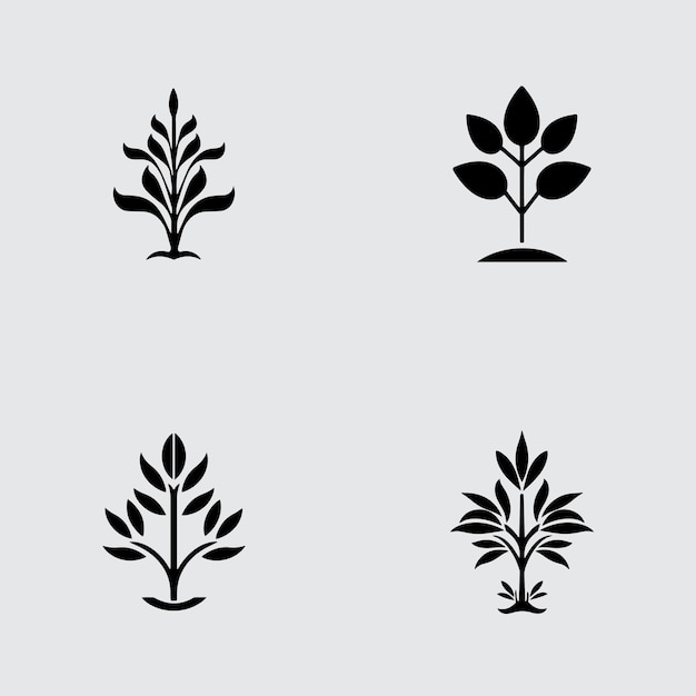 Four vector floral elements logo