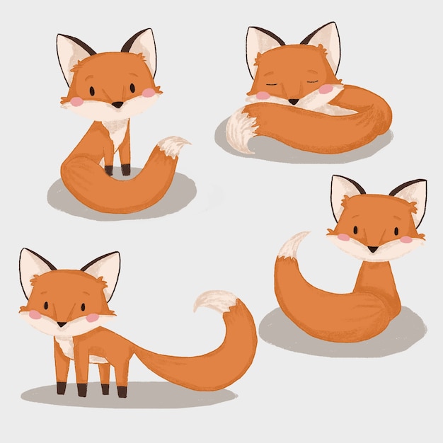 Fox  autumn collection pattern