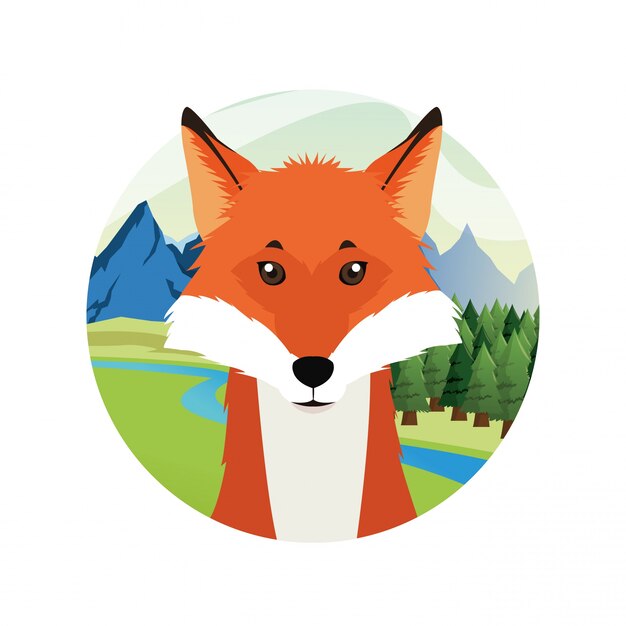 Vector fox cartoon animal picture icon