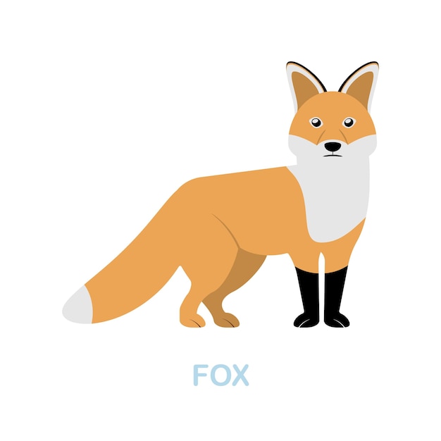 Fox flat icon Colored element sign from wild animals collection Flat Fox icon sign for web design infographics and more