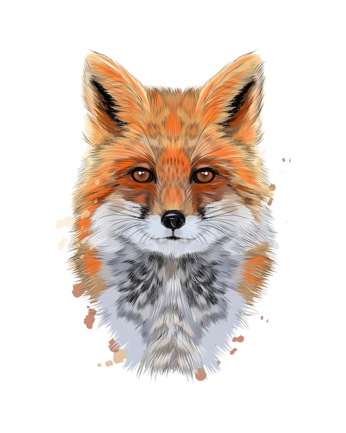 Fox head portrait from a splash of watercolor