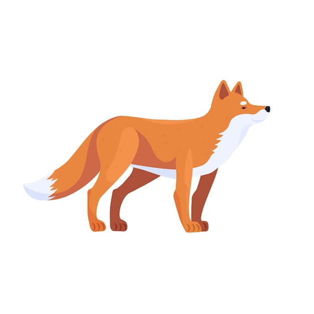 Fox Predator Vector illustration of animals in cartoon style