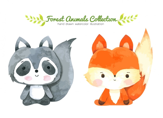 Fox and Raccoon Cartoon watercolor, Forest Animal Hand drawn painted character for Kids