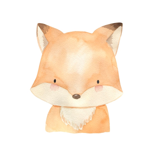 Fox watercolor illustration for kids