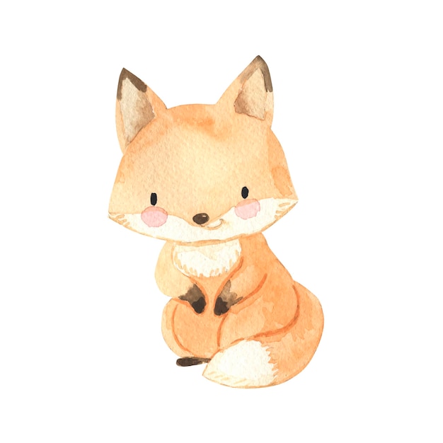 Fox watercolor illustration for kids