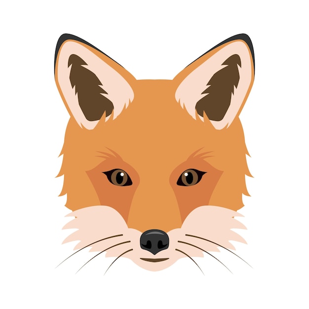 Foxes face or head Wild red Fox icon isolated on white background