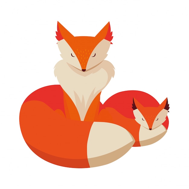 Foxes mammal animals