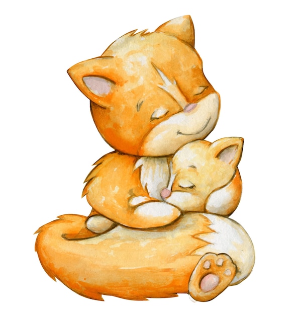 Foxes mom is holding a sleeping baby Watercolor clipart of forest animals on an isolated backgroun