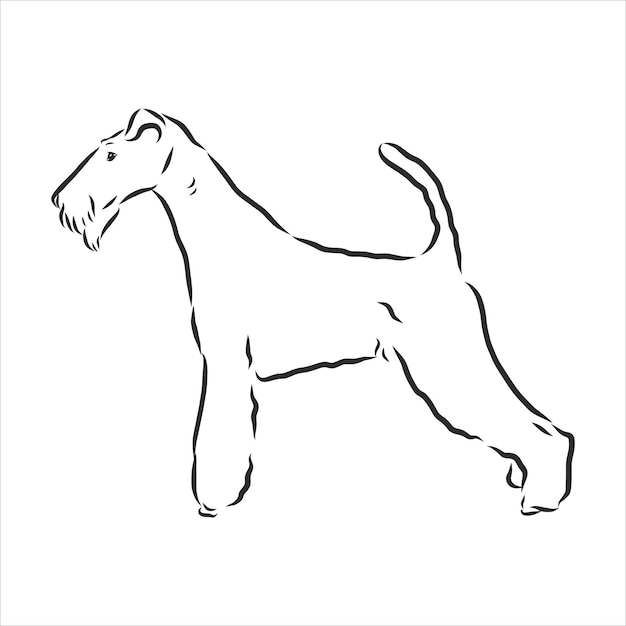 Foxterrier dog sketch, contour vector illustration, hand drawing